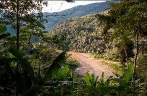 Parque Nacional Bahuaja-Sonene
